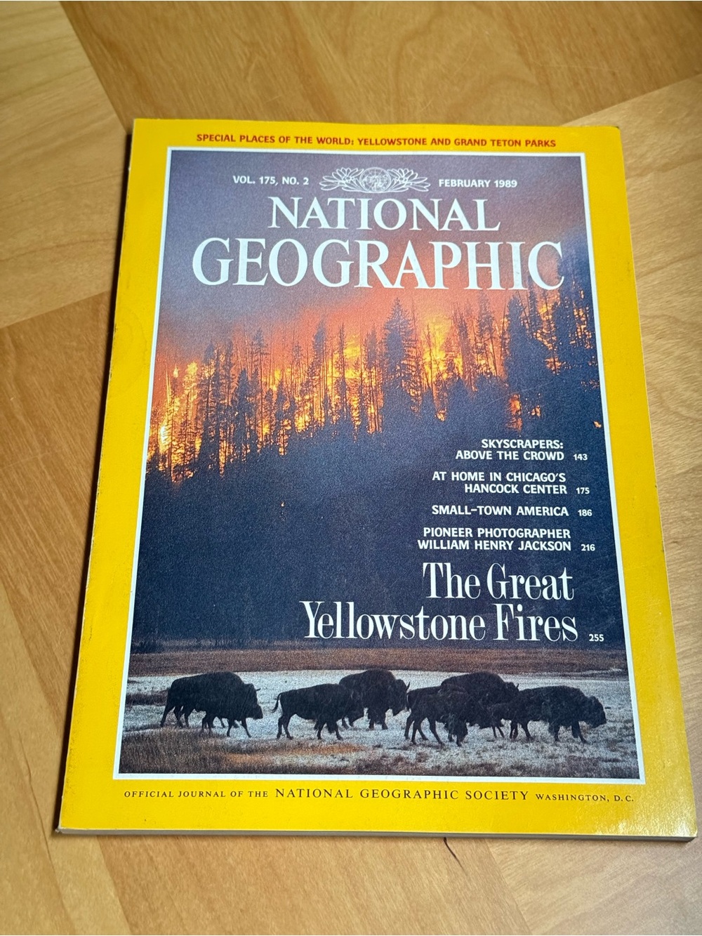 National Geographic Magazine Vol. 175 No. 2 The Great Yellowstone Fires Feb 1989